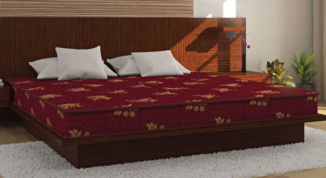 Bubble - Budget Double Coir Single Size Mattress (4 in Mattress Thickness (in Inches), 72 x 36 in Mattress Size) by Urban Ladder - Design 1 Full View - 526215