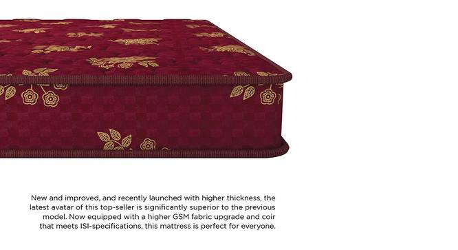Bubble - Budget Double Coir Single Size Mattress (4 in Mattress Thickness (in Inches), 72 x 30 in Mattress Size) by Urban Ladder - Front View Design 1 - 526225