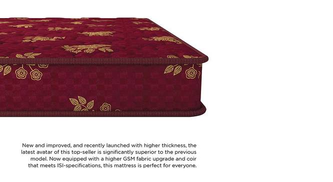 Bubble - Budget Double Coir Single Size Mattress (4 in Mattress Thickness (in Inches), 72 x 36 in Mattress Size) by Urban Ladder - Front View Design 1 - 526226