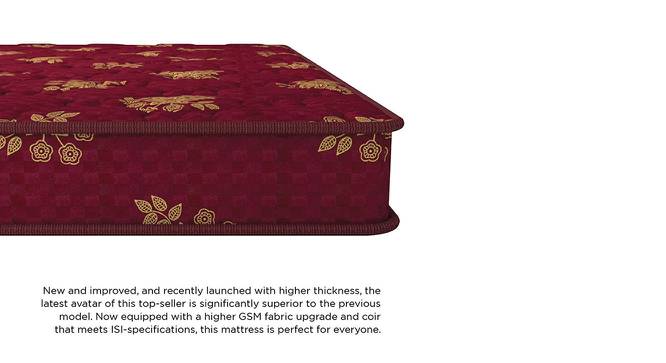 Bubble - Budget Double Coir Single Size Mattress (4 in Mattress Thickness (in Inches), 75 x 30 in Mattress Size) by Urban Ladder - Front View Design 1 - 526227