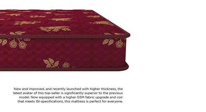 Bubble - Budget Double Coir Single Size Mattress (75 x 36 in Mattress Size, 4 in Mattress Thickness (in Inches)) by Urban Ladder - Front View Design 1 - 526228