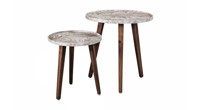 Palmbronze Solid Wood Round Nested End Table in Paper Finish - Set of 2 (Brown, PU Paper Finish) by Urban Ladder - Cross View Design 1 - 526275