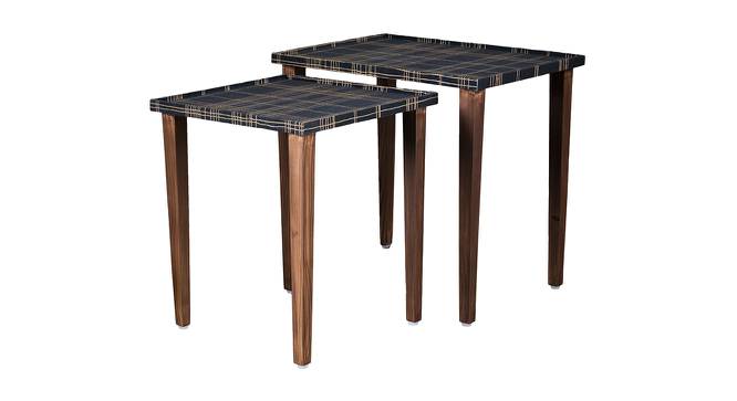 Tesseract Solid Wood Rectangular Nested End Table in Paper Finish - Set of 2 (Blue, PU Paper Finish) by Urban Ladder - Cross View Design 1 - 526276