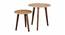 Gold Leaves Solid Wood Nested End Table in Paint Finish - Set of 2 (PU Paint Finish, Golden) by Urban Ladder - Cross View Design 1 - 526278