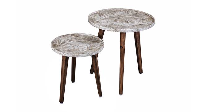 Palmbronze Solid Wood Round Nested End Table in Paper Finish - Set of 2 (Brown, PU Paper Finish) by Urban Ladder - Front View Design 1 - 526286