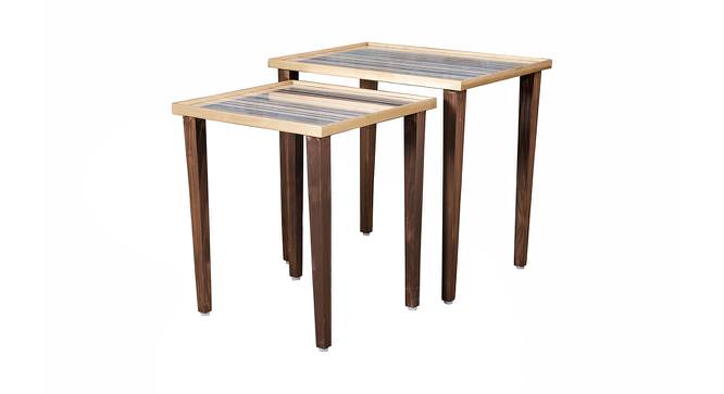 Linen Lines Solid Wood Nested End Table - Set of 2 (Multicolor) by Urban Ladder - Cross View Design 1 - 526323