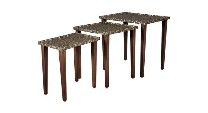 Syaahi Solid Wood Nested End Table in Paper Finish - Set of 3 (Multicolor, PU Paper Finish) by Urban Ladder - Cross View Design 1 - 526326