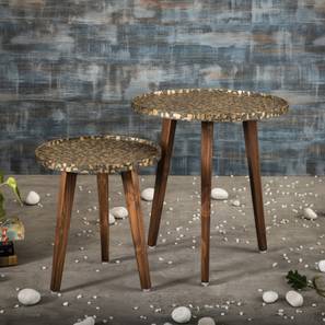 a tiny mistake Syaahi Solid Wood Side Table in Multicolor Finish-picture-11