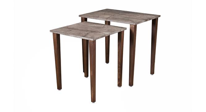Slate Solid Wood Nested End Table in Laminate Finish - Set of 2 (Laminate Finish, Multicolor) by Urban Ladder - Cross View Design 1 - 526340