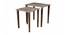 Slate Solid Wood Nested End Table in Laminate Finish - Set of 2 (Laminate Finish, Multicolor) by Urban Ladder - Cross View Design 1 - 526340