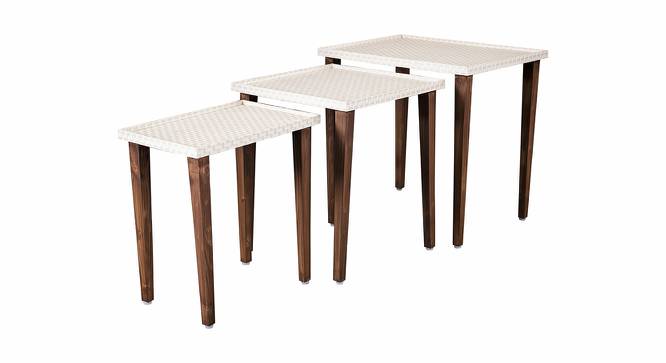 Herringbone Solid Wood Nested End Table in Paper Finish - Set of 3 (Beige, PU Paper Finish) by Urban Ladder - Cross View Design 1 - 526342