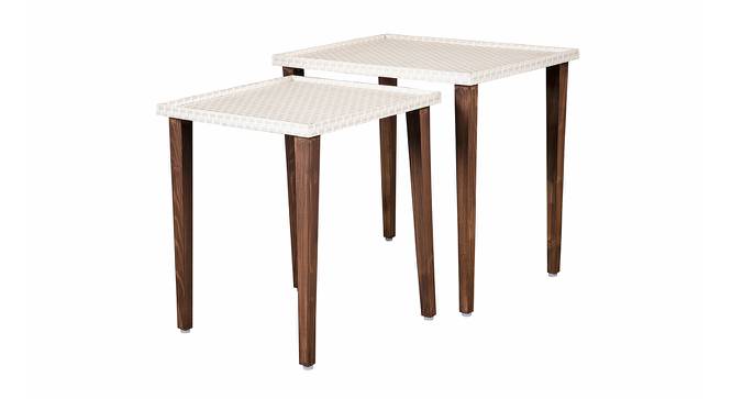 Herringbone Solid Wood Nested End Table in Paper Finish - Set of 2 (Beige, PU Paper Finish) by Urban Ladder - Cross View Design 1 - 526343
