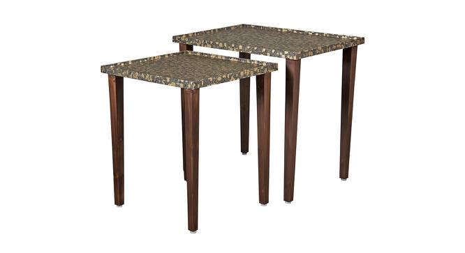 Syaahi Solid Wood Nested End Table in Paper Finish - Set of 2 (Multicolor, PU Paper Finish) by Urban Ladder - Cross View Design 1 - 526344