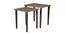 Syaahi Solid Wood Nested End Table in Paper Finish - Set of 2 (Multicolor, PU Paper Finish) by Urban Ladder - Cross View Design 1 - 526344