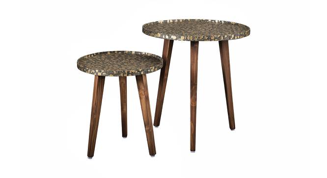 Syaahi Solid Wood Round Nested End Table in Paper Finish - Set of 2 (Multicolor, PU Paper Finish) by Urban Ladder - Cross View Design 1 - 526345