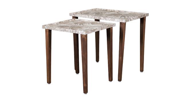 Palmbronze Solid Wood Rectangular Nested End Table in Paper Finish - Set of 2 (Brown, PU Paper Finish) by Urban Ladder - Cross View Design 1 - 526347