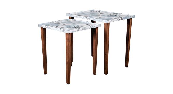 Bliss Solid Wood Rectangular Nested End Table in Paper Finish - Set of 2 (Blue, PU Paper Finish) by Urban Ladder - Cross View Design 1 - 526348