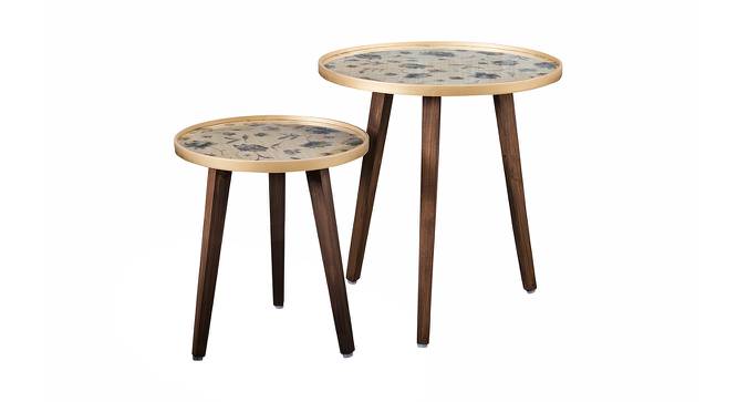 Floral Solid Wood Nested End Table in Paper Finish - Set of 2 (Multicolor, PU Paper Finish) by Urban Ladder - Cross View Design 1 - 526350