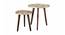 Floral Solid Wood Nested End Table in Paper Finish - Set of 2 (Multicolor, PU Paper Finish) by Urban Ladder - Cross View Design 1 - 526350