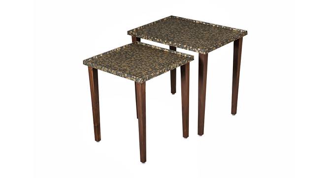 Syaahi Solid Wood Nested End Table in Paper Finish - Set of 2 (Multicolor, PU Paper Finish) by Urban Ladder - Front View Design 1 - 526356