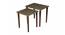 Syaahi Solid Wood Nested End Table in Paper Finish - Set of 2 (Multicolor, PU Paper Finish) by Urban Ladder - Front View Design 1 - 526356