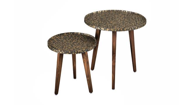 Syaahi Solid Wood Round Nested End Table in Paper Finish - Set of 2 (Multicolor, PU Paper Finish) by Urban Ladder - Front View Design 1 - 526357