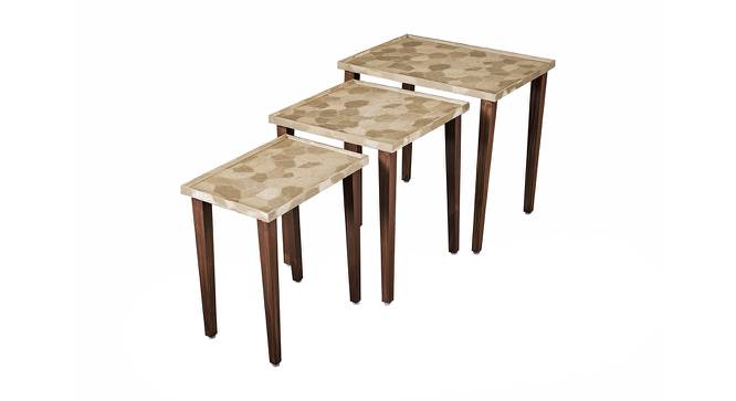 Paisley Solid Wood Nested End Table in Paper Finish - Set of 3 (PU Paper Finish, Golden) by Urban Ladder - Front View Design 1 - 526358