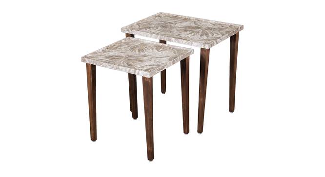 Palmbronze Solid Wood Rectangular Nested End Table in Paper Finish - Set of 2 (Brown, PU Paper Finish) by Urban Ladder - Front View Design 1 - 526359