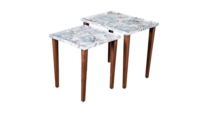 Bliss Solid Wood Rectangular Nested End Table in Paper Finish - Set of 2 (Blue, PU Paper Finish) by Urban Ladder - Front View Design 1 - 526360