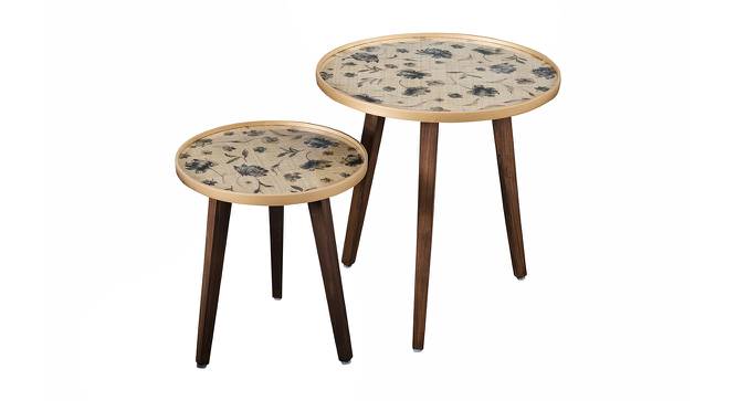 Floral Solid Wood Nested End Table in Paper Finish - Set of 2 (Multicolor, PU Paper Finish) by Urban Ladder - Front View Design 1 - 526362