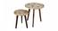 Floral Solid Wood Nested End Table in Paper Finish - Set of 2 (Multicolor, PU Paper Finish) by Urban Ladder - Front View Design 1 - 526362