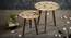 Floral Solid Wood Nested End Table in Paper Finish - Set of 2 (Multicolor, PU Paper Finish) by Urban Ladder - Design 1 Side View - 526373
