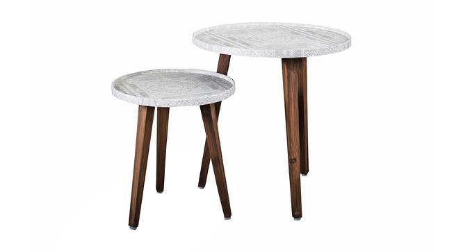 Kaarigari Solid Wood Nested End Table in Paper Finish - Set of 2 (Multicolor, PU Paper Finish) by Urban Ladder - Cross View Design 1 - 526411
