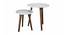 Kaarigari Solid Wood Nested End Table in Paper Finish - Set of 2 (Multicolor, PU Paper Finish) by Urban Ladder - Cross View Design 1 - 526411