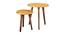 Sunehri Solid Wood Round Nested End Table in Paper Finish - Set of 2 (PU Paper Finish, Golden) by Urban Ladder - Cross View Design 1 - 526412