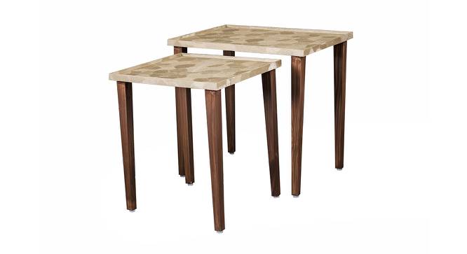 Paisley Solid Wood Nested End Table in Paper Finish - Set of 2 (PU Paper Finish, Golden) by Urban Ladder - Cross View Design 1 - 526413
