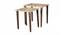 Paisley Solid Wood Nested End Table in Paper Finish - Set of 2 (PU Paper Finish, Golden) by Urban Ladder - Cross View Design 1 - 526413