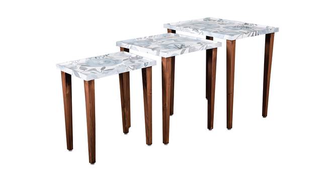 Blossom Solid Wood Nested End Table in Paper Finish - Set of 3 (Blue, PU Paper Finish) by Urban Ladder - Cross View Design 1 - 526416