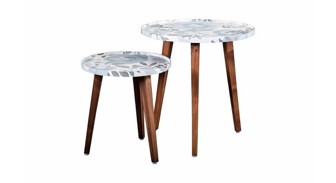 Bliss Solid Wood Round Nested End Table in Paper Finish - Set of 2 (Blue, PU Paper Finish) by Urban Ladder - Cross View Design 1 - 526417