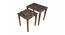 Iznik Solid Wood Nested End Table in Laminate Finish - Set of 2 (Laminate Finish, Multicolor) by Urban Ladder - Front View Design 1 - 526420