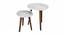 Kaarigari Solid Wood Nested End Table in Paper Finish - Set of 2 (Multicolor, PU Paper Finish) by Urban Ladder - Front View Design 1 - 526422