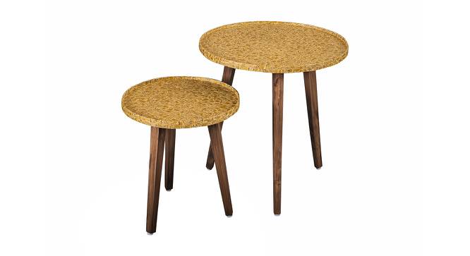 Sunehri Solid Wood Round Nested End Table in Paper Finish - Set of 2 (PU Paper Finish, Golden) by Urban Ladder - Front View Design 1 - 526423