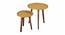 Sunehri Solid Wood Round Nested End Table in Paper Finish - Set of 2 (PU Paper Finish, Golden) by Urban Ladder - Front View Design 1 - 526423