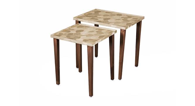 Paisley Solid Wood Nested End Table in Paper Finish - Set of 2 (PU Paper Finish, Golden) by Urban Ladder - Front View Design 1 - 526424