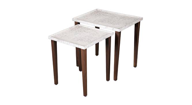 Bhav Solid Wood Rectangular Nested End Table in Paper Finish - Set of 2 (Multicolor, PU Paper Finish) by Urban Ladder - Front View Design 1 - 526425