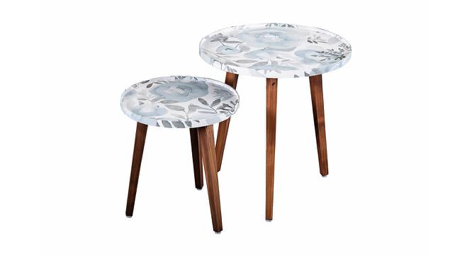 Bliss Solid Wood Round Nested End Table in Paper Finish - Set of 2 (Blue, PU Paper Finish) by Urban Ladder - Front View Design 1 - 526428