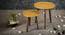 Sunehri Solid Wood Round Nested End Table in Paper Finish - Set of 2 (PU Paper Finish, Golden) by Urban Ladder - Design 1 Side View - 526435