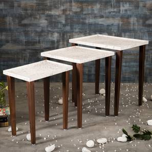 a tiny mistake Bhav Solid Wood Side Table in Pu Paper Multicolor Finish-picture-16