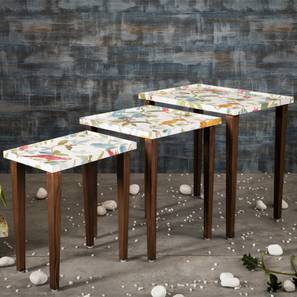 Pakshi Solid Wood Side Table in Pu Paper Multicolor Finish-image-47