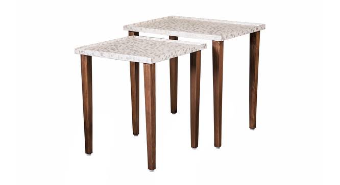 Chaandi Solid Wood Nested End Table in Paper Finish - Set of 2 (Multicolor, PU Paper Finish) by Urban Ladder - Cross View Design 1 - 526479